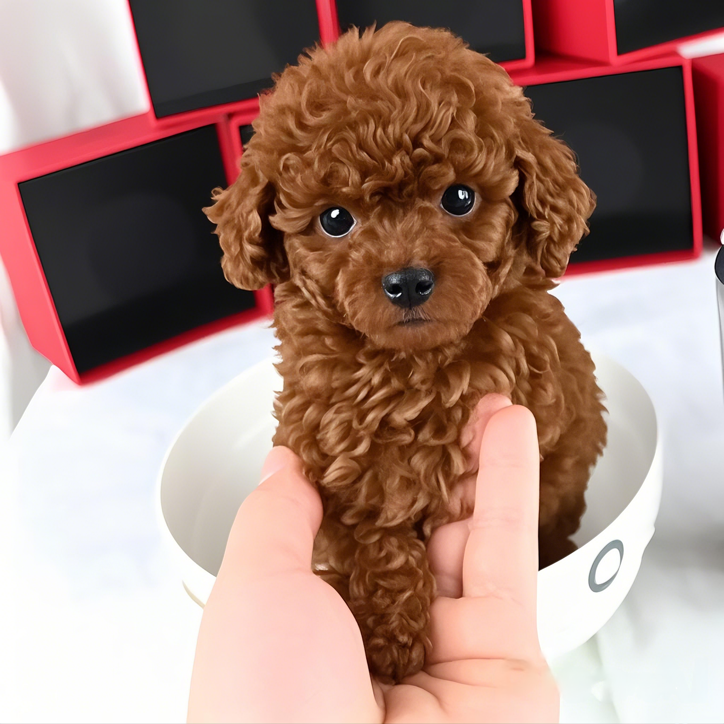 šLast Day Promotion 49% OFFš¶ Puppio⢠Charming Plush Dog - Your Realistic Toy Dog