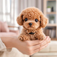 Fluffy Teddy